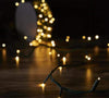 GE StayBright 250-Count Warm White LED Plug-In Christmas String Lights 51.8-ft