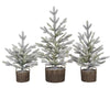 TWC Company 30-Inch 3 Piece Flocked Trees with Warm White LED Lights