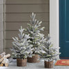 TWC Company 30-Inch 3 Piece Flocked Trees with Warm White LED Lights