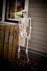 Crazy Bonez Pose-N-Stay Life Size 5FT Skeleton with Posable and Moveable Joints