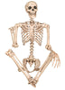 Crazy Bonez Pose-N-Stay Life Size 5FT Skeleton with Posable and Moveable Joints